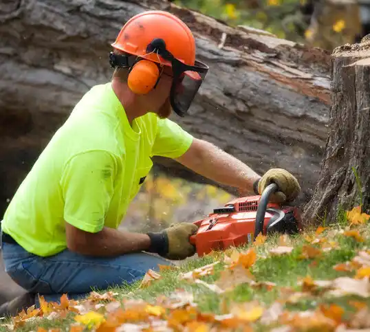 tree services Erwinville